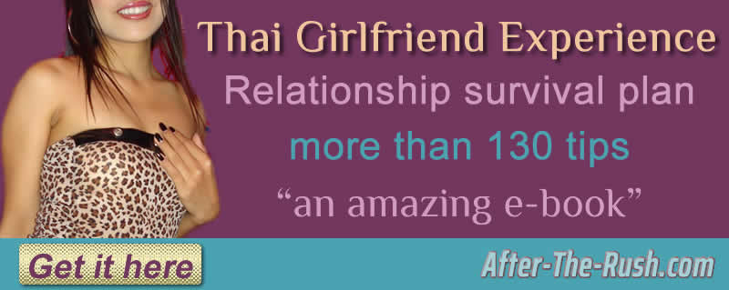 Thai girlfriend eBook download